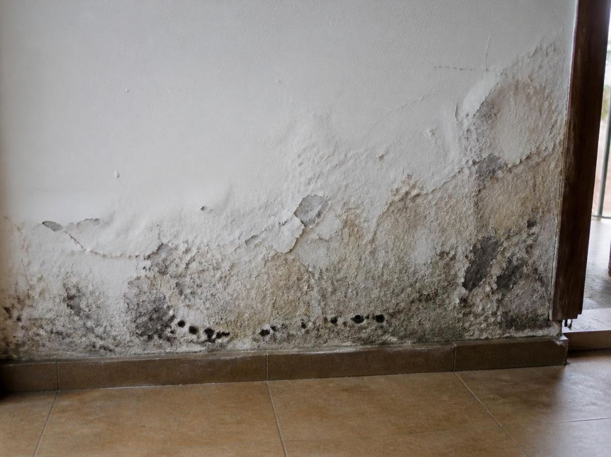 Muro con humedad por capilaridad y pintura soplada