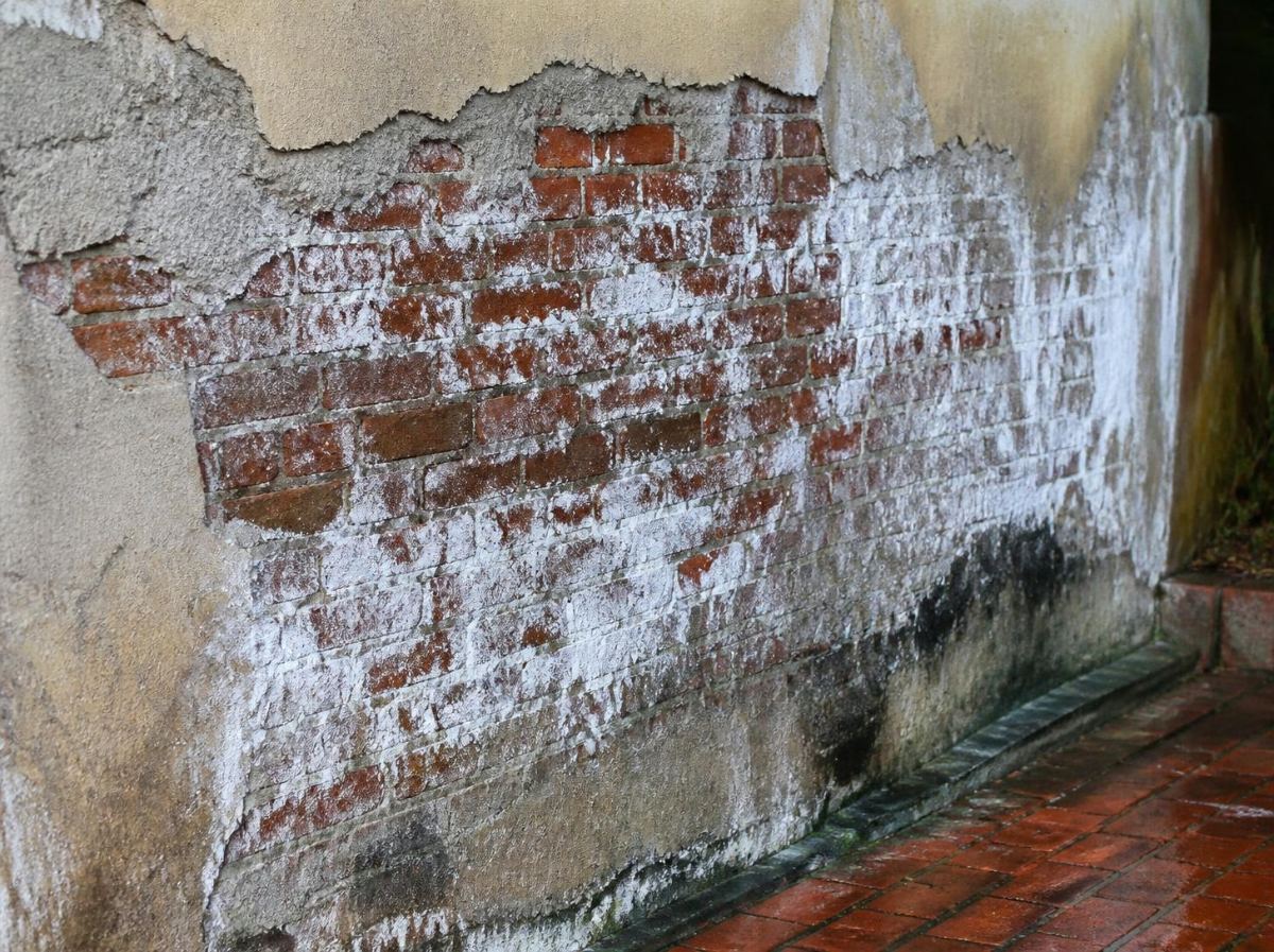 Salitre en un muro exterior de ladrillo
