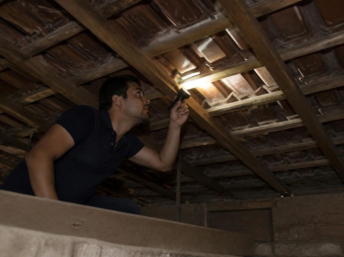 Revisión de la estructura de madera del techo